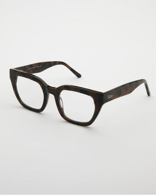 Kiara Turtle Brown Blue Light